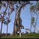 Image for article titled This dinosaur's huge body didn't work the way we thought it did